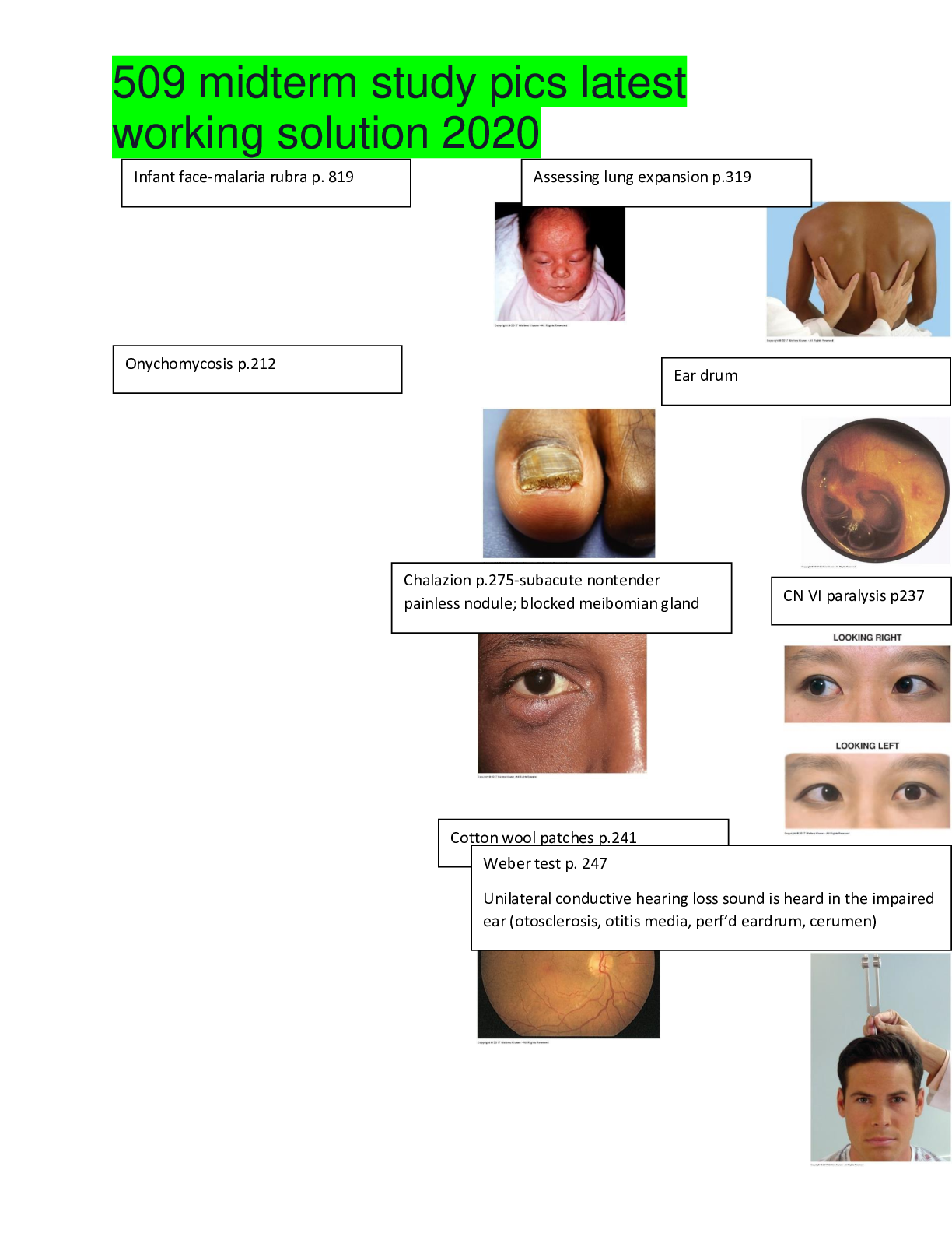 Preview image of 509 midterm study pics latest working solution 2020 document